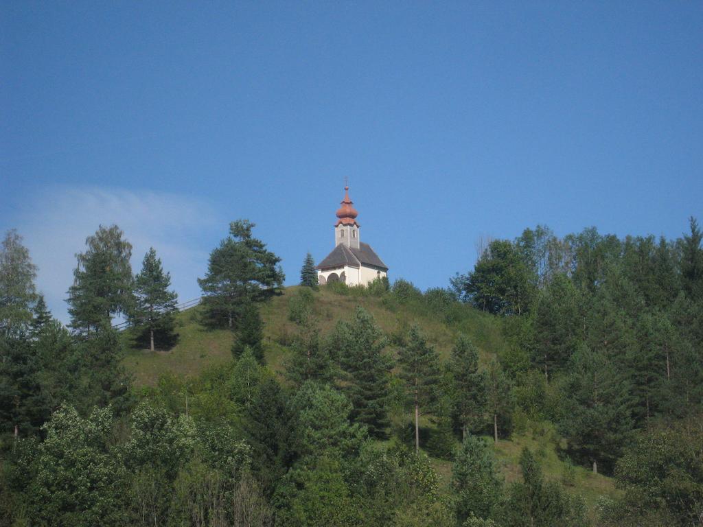 Gasthof Zum Niederhaus - Familie Perthold Sankt Aegyd am Neuwalde Eksteriør billede