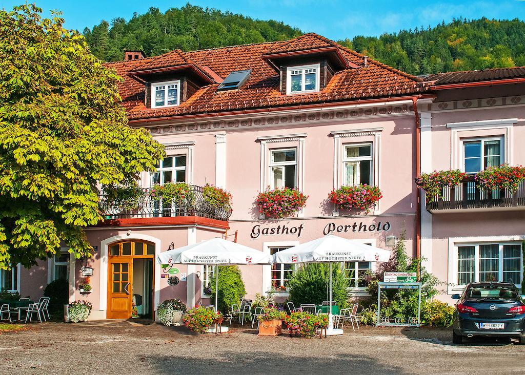 Gasthof Zum Niederhaus - Familie Perthold Hotel Sankt Aegyd am Neuwalde Eksteriør billede