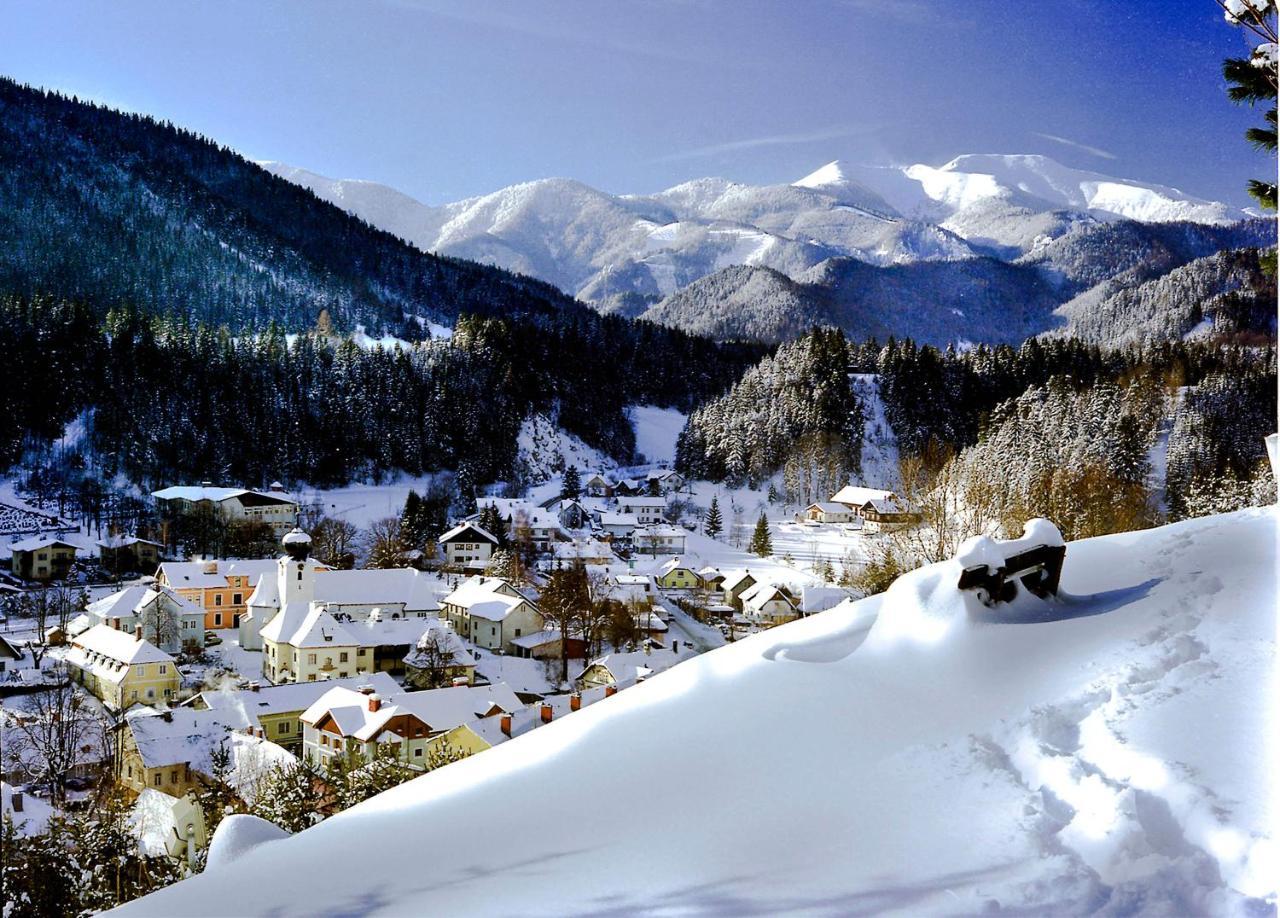 Gasthof Zum Niederhaus - Familie Perthold Hotel Sankt Aegyd am Neuwalde Eksteriør billede