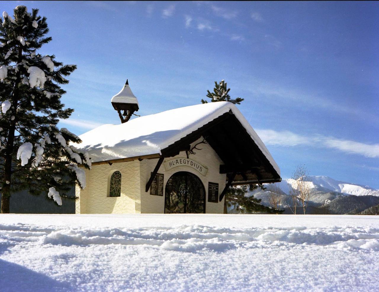 Gasthof Zum Niederhaus - Familie Perthold Sankt Aegyd am Neuwalde Eksteriør billede